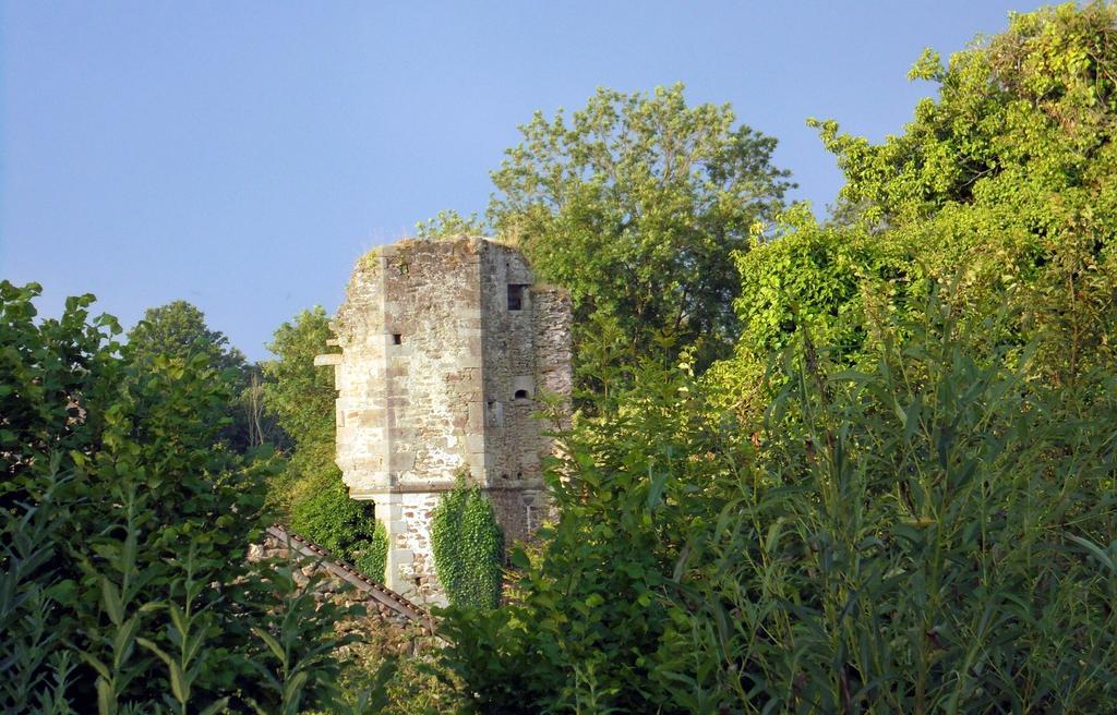 Chateau De La Chasse-Guerre Bed & Breakfast Hardanges Exterior photo